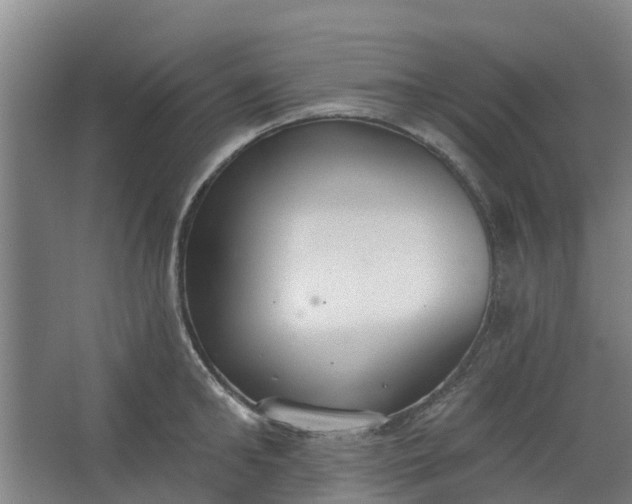 X0000062860902200601271527