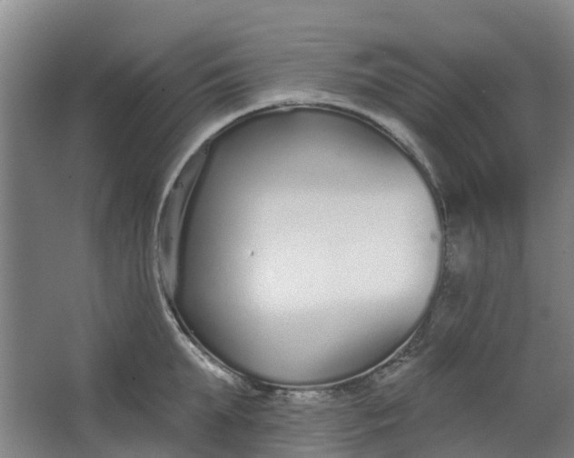 X0000062860903200601271527