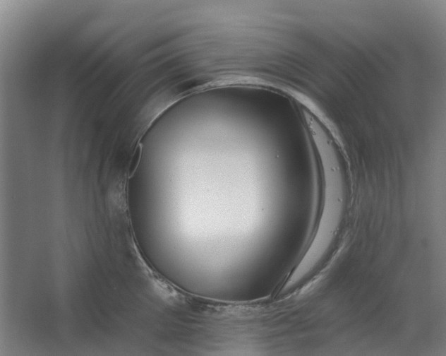 X0000062860905200601271527