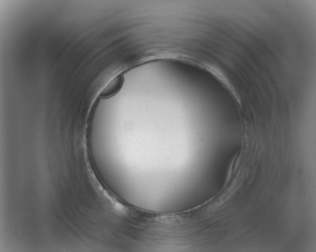 X0000062860906200601271527