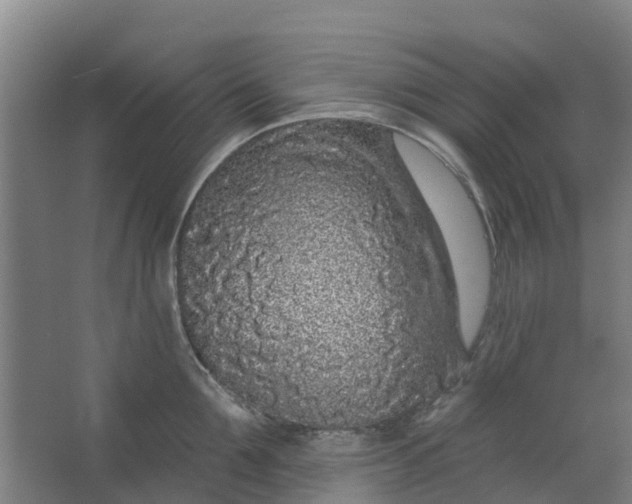 X0000062860907200601271527