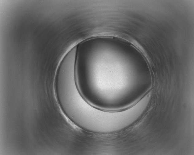 X0000062860909200601271527