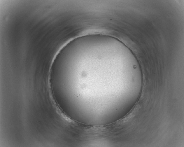 X0000062860912200601271527