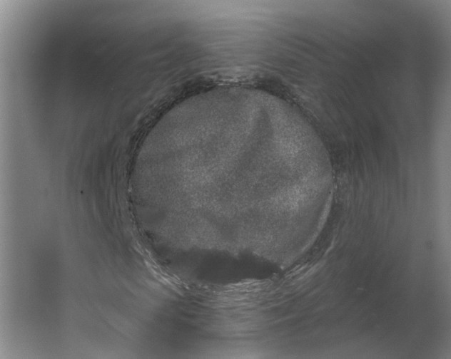 X0000062860913200601271526