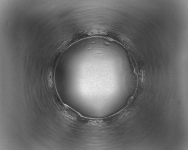 X0000062860915200601271526