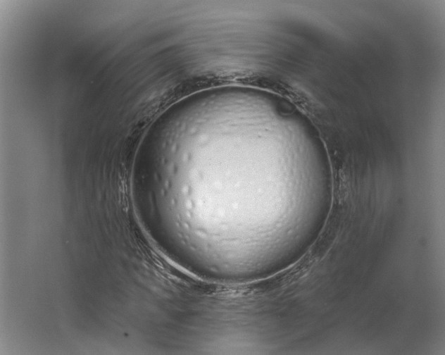 X0000062860917200601271526