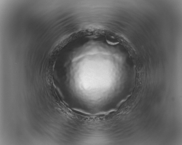 X0000062860919200601271526