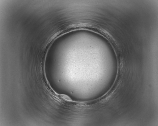 X0000062860921200601271526