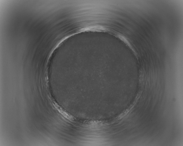 X0000062860923200601271526