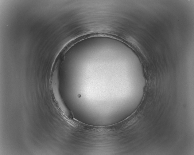 X0000062860924200601271526