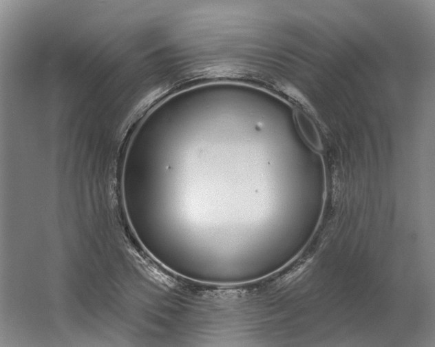 X0000062860930200601271526