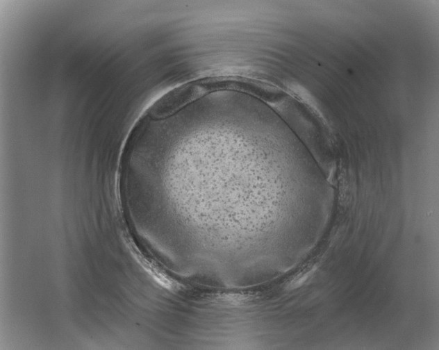 X0000062860932200601271526