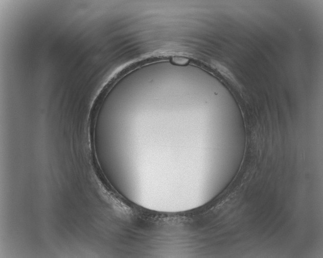 X0000062860934200601271526