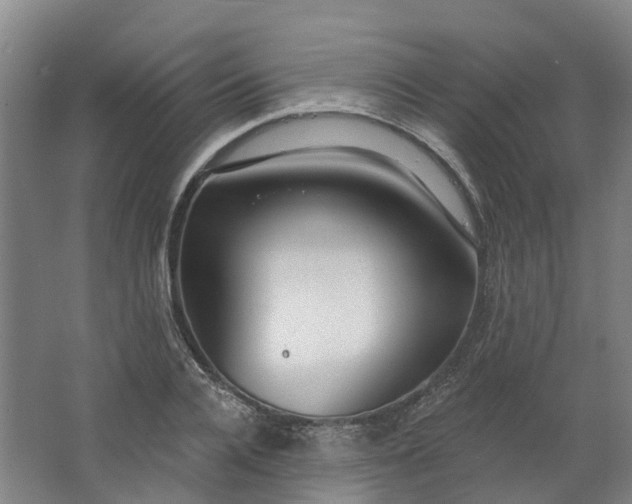 X0000062860936200601271526