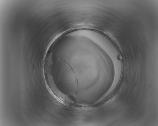 X0000062860941200601271526