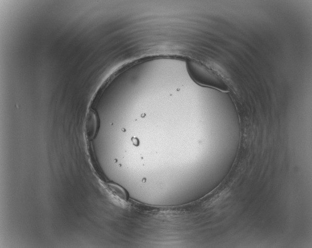 X0000062860942200601271526