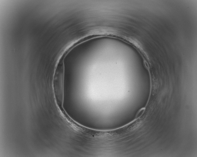 X0000062860943200601271526