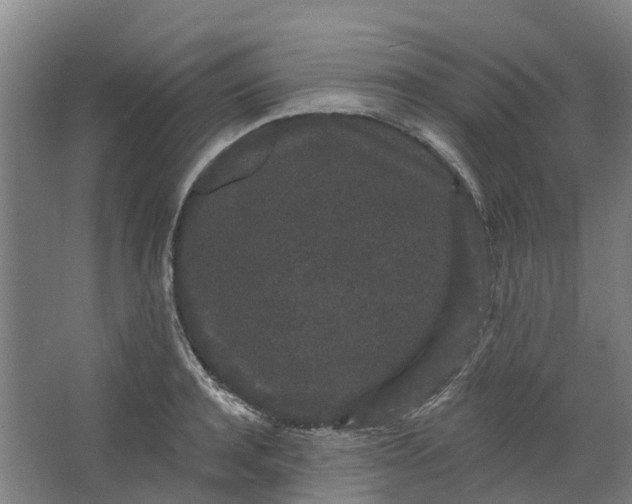 X0000062860944200601271526