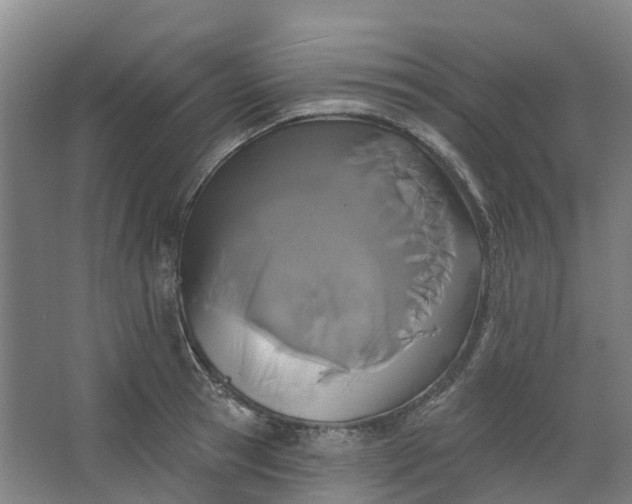 X0000062860945200601271526