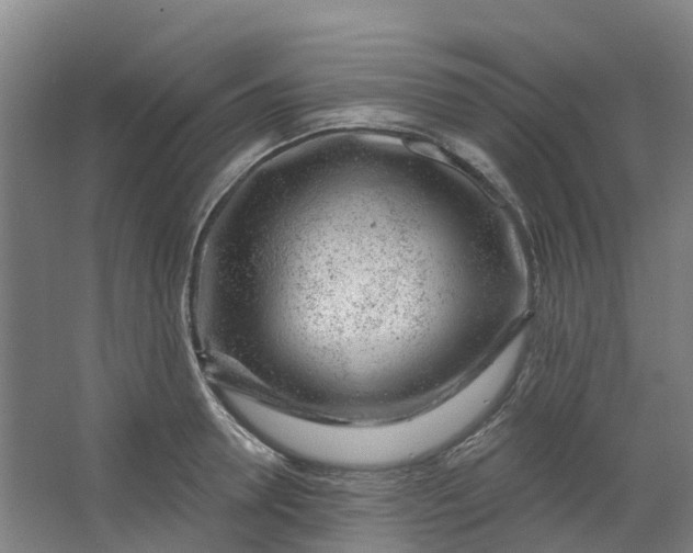 X0000062860946200601271526