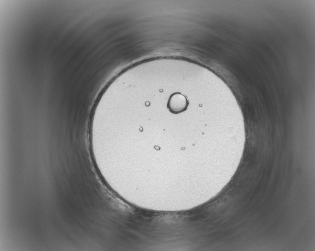 X0000062860950200601271526