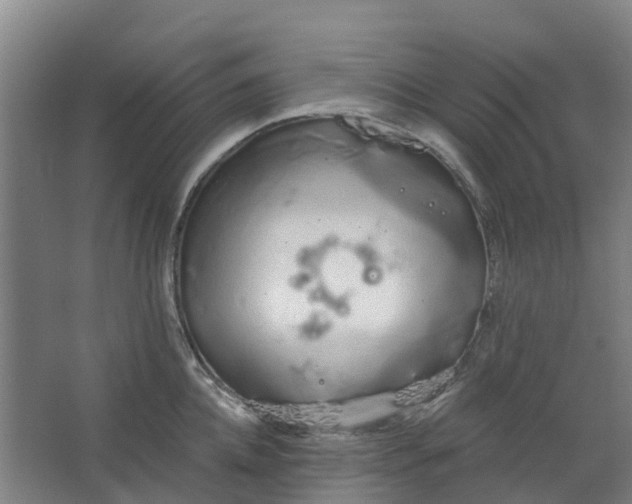 X0000062860952200601271526