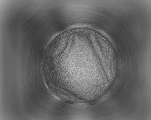 X0000062860953200601271526