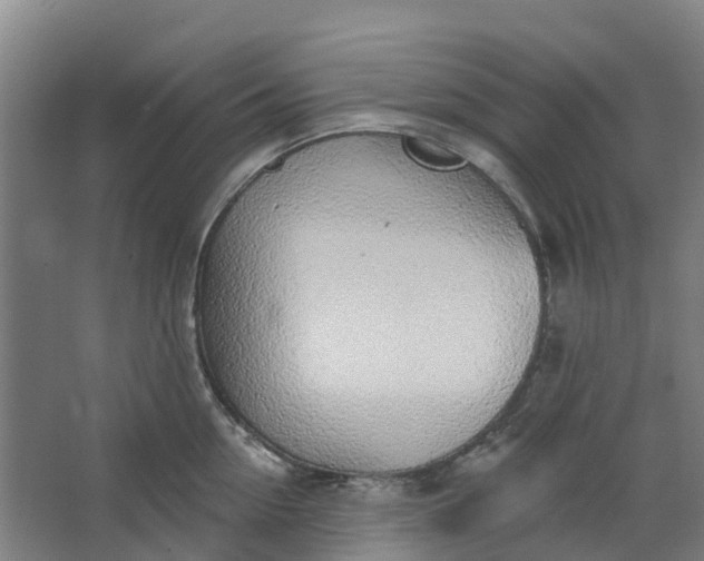 X0000062860954200601271526