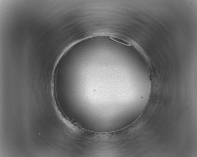 X0000062860955200601271527