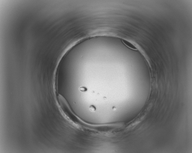 X0000062860957200601271527