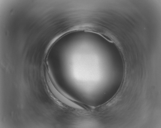 X0000062860960200601271527