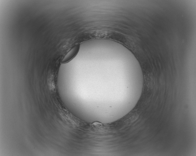 X0000062860962200601271526