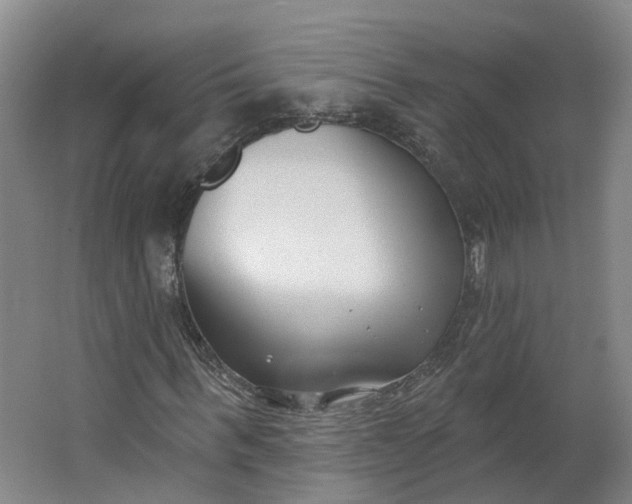 X0000062860963200601271526