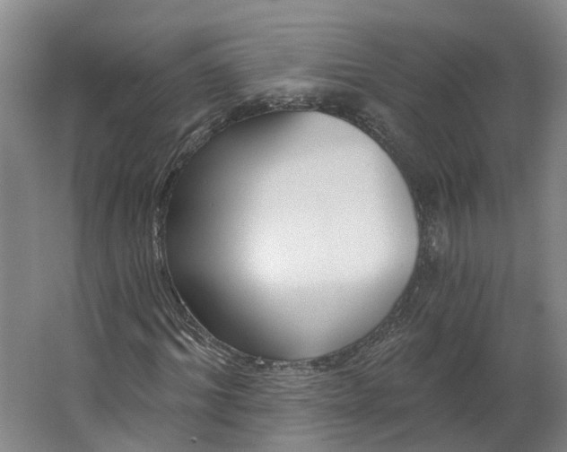 X0000062860964200601271526