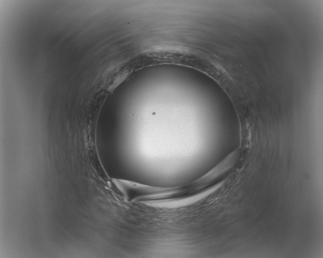 X0000062860965200601271526