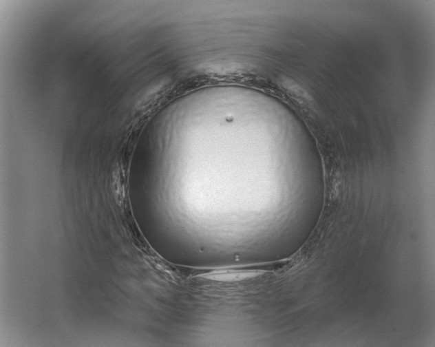 X0000062860966200601271526