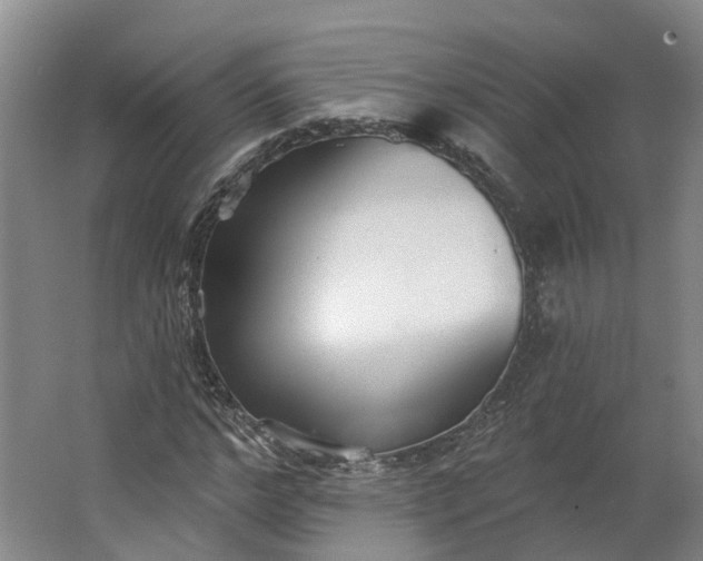 X0000062860968200601271526