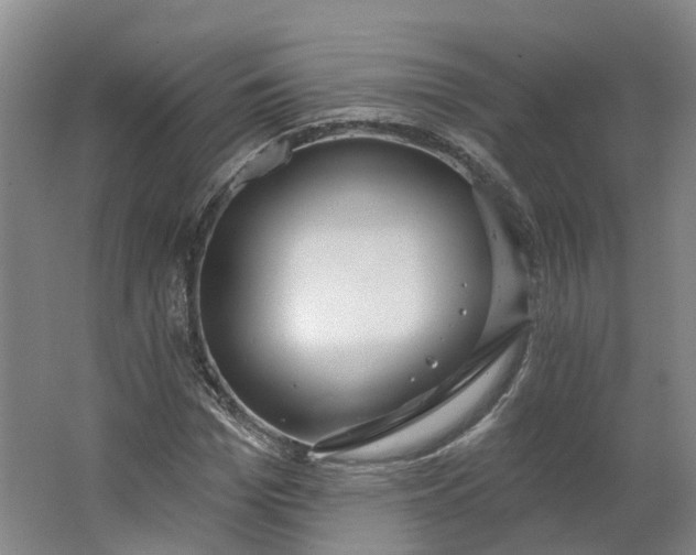 X0000062860969200601271526