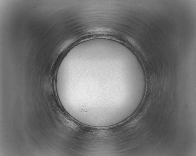 X0000062860970200601271526