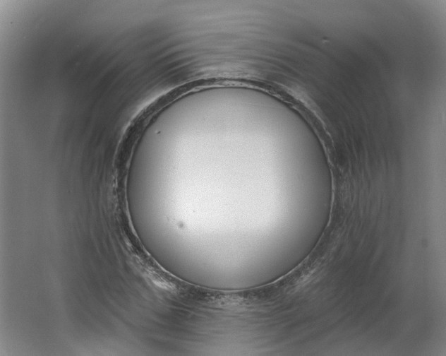 X0000062860971200601271526