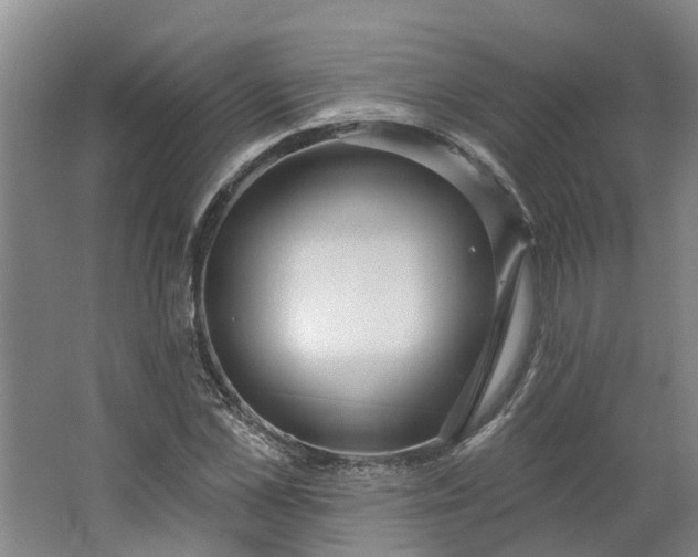 X0000062860973200601271526