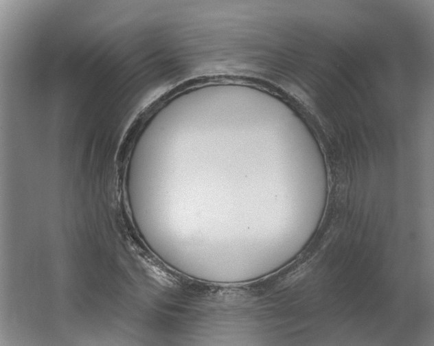 X0000062860974200601271526