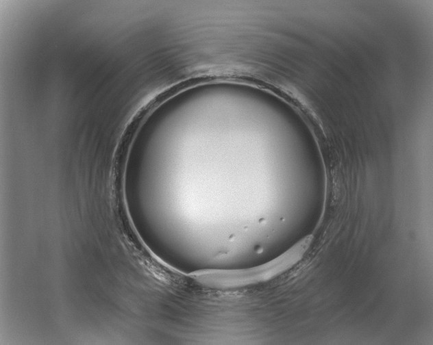 X0000062860975200601271526