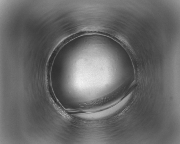 X0000062860976200601271526