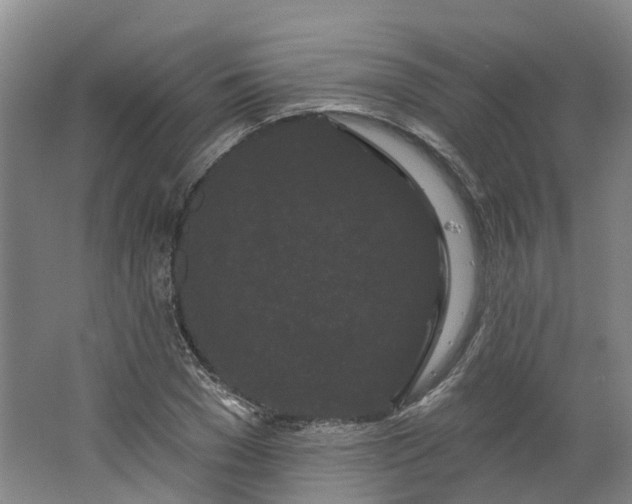 X0000062860977200601271525