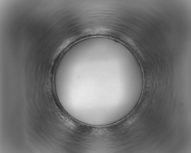 X0000062860978200601271525