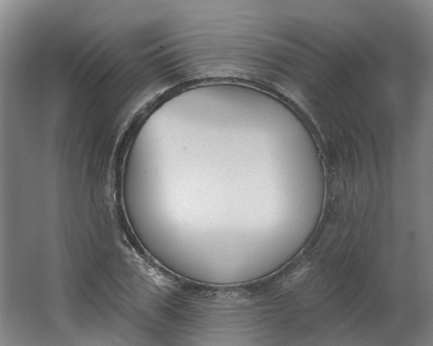 X0000062860979200601271525