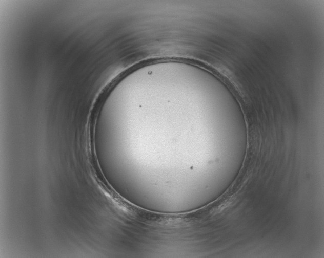 X0000062860982200601271525