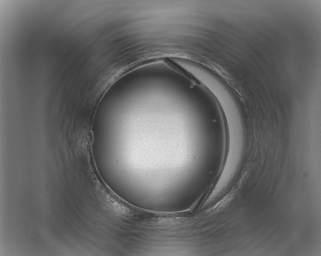 X0000062860985200601271525