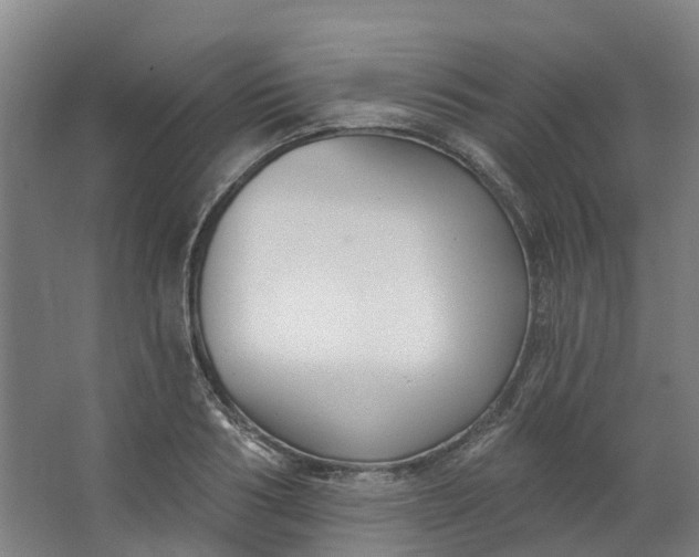 X0000062860986200601271525